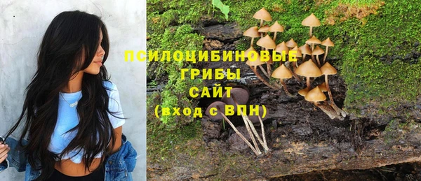 мяу мяу мука Лабытнанги