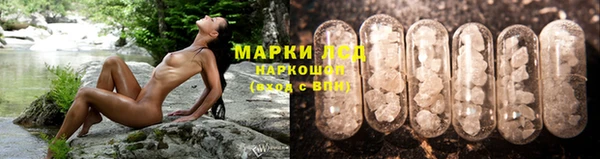 мяу мяу мука Лабытнанги