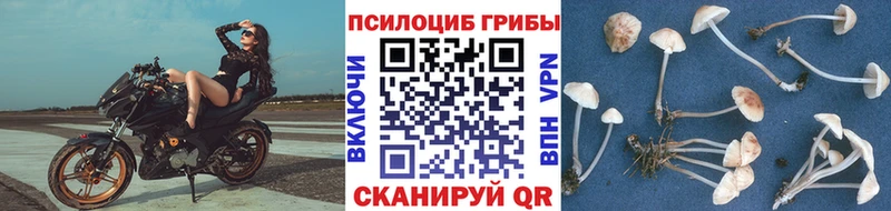 Псилоцибиновые грибы ЛСД  Купить закладки  Советский 